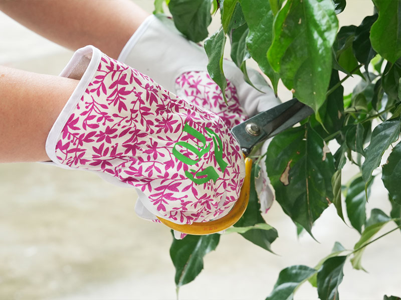 Cận cảnh bên ngoài